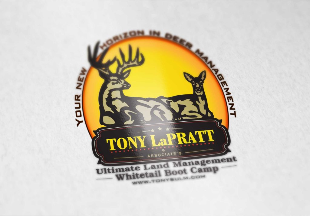 tony la pratt logo -Imagination FX | Web design & Internet Marketing